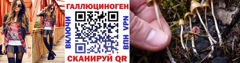 Галлюциногенные грибы GOLDEN TEACHER  Купить закладки  Харовск 